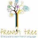 Photo of French Tree