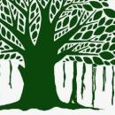 Concept & Clarity photo