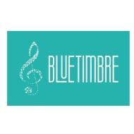 Blue Timbre Guitar institute in Bangalore