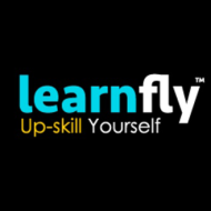 Learnfly Edtech Pvt Ltd Cyber Security institute in Delhi