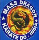 Mass Dragon photo