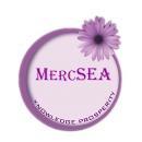 Mercury Skills Enrichment Academy ( MercSEA) photo