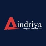 Aindriya Marketing solutions pvt ltd Search Engine Optimization (SEO) institute in Aluva