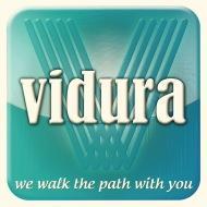 Vidura Academy Private Limited SAS institute in Bangalore