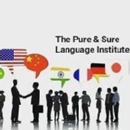 The Pure and Sure Foreign Language German Language institute in Delhi