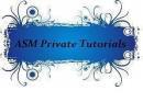 ASM Private Tutorials photo