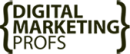 Digital Marketing Profs photo