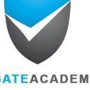 Vgate Academy photo