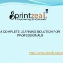 Photo of SprintZeal Empowering Professional