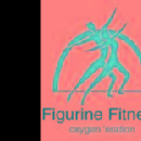 Photo of Figurine Fitness Centre