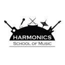 Harmonics School Of Music Drums institute in Kalyan