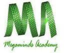 Megaminds Academy photo