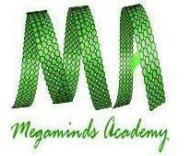 Megaminds Academy Class 11 Tuition institute in Delhi