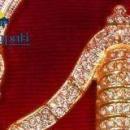 Purini Academy Italian Language institute in Hyderabad