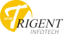 Trigent Infotech Pvt Ltd PHP institute in Noida