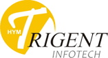 Trigent Infotech Pvt Ltd Infor ERP institute in Noida