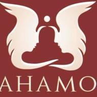 Ahamo Foundation Spiritual Workshop institute in Bangalore