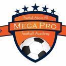 Mega Pro Football Academy photo