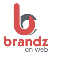 Brandz On Web Social Media Marketing (SMM) institute in Nashik