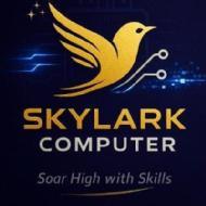 Skylark Computer Education Quantitative Aptitude institute in Pune