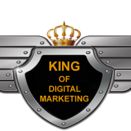 King of Digital Marketing Web Development institute in Delhi