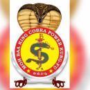 Moh Baa King Cobra Power Kung fu photo