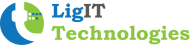 Ligit Technologies Digital Marketing institute in Hyderabad