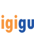 Photo of Digigurukool