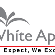 White Apple Software Services Web Designing institute in Noida