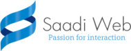 saadi web design Web Designing institute in Delhi