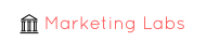 Marketinglabs.in Digital Marketing institute in Delhi