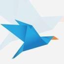 Paperbird Tech Web Designing institute in Ahmedabad