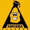 Amoeba Classes photo