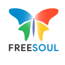 Freesoul Technology Services LLP Data Science institute in Bangalore
