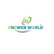 CNC Web World Mean stack institute in Mumbai