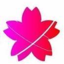 Flowercrashs JSP Training institute in Kochi