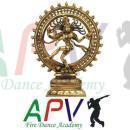APV Fire Dance Academy photo