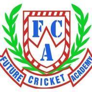 Future Cricket Academy Cricket institute in Delhi