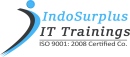 Indo Surplus Websmiths Digital Marketing Training Institutes institute in Chandigarh