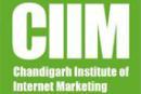  Chandigarh Institute of Internet Marketing Digital Marketing Training Institutes institute in Chandigarh
