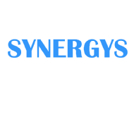 SYNERGYS PVT LTD Tally Software institute in Bangalore