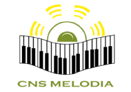 CnS Melodia Music Academy Pvt. Ltd. Vocal Music institute in Pune