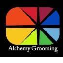 Alchemy Grooming Business English Classes institute in Jaipur