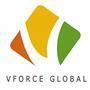 V Force Global photo