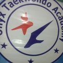 Onyx Taekwondo Academy photo