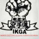North Eastern Gojukai Karate Do India photo