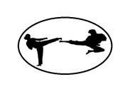 Jing Gye Taekwondo Academy Self Defence institute in Delhi