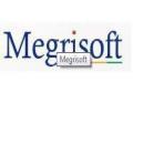 Megri Soft Limited Web Development institute in Chandigarh