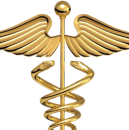 Medical Tutorials And Dessertation Assistance photo