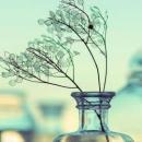 Ratna Music institute in Panchkula